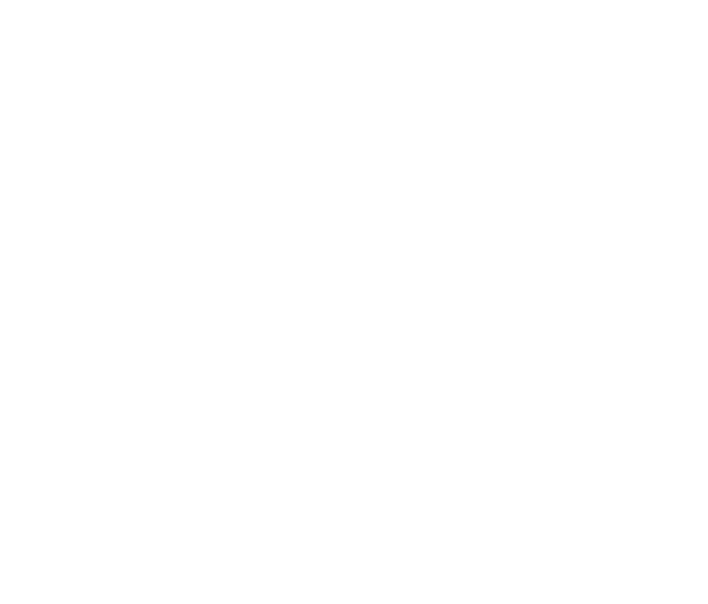 母家 室内マップ