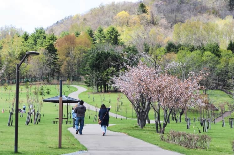 小金湯さくらの森公園